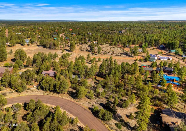 Homes for sale in Overgaard, AZ | 2794 Skyhawk Dr #140, Overgaard, AZ 85933 | MLS# 7047384
