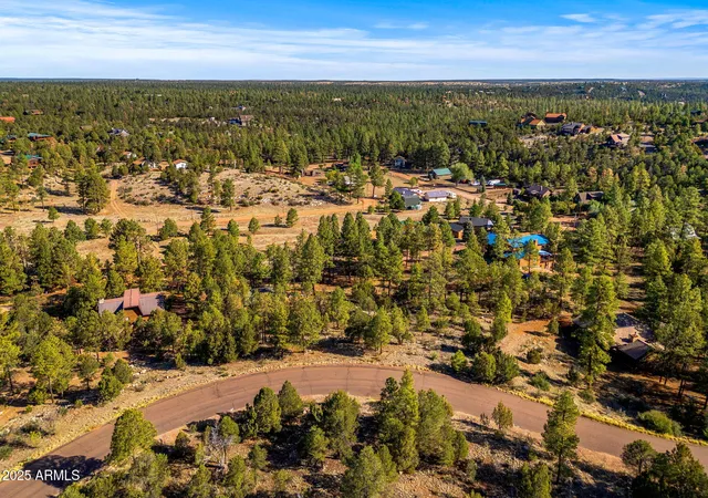 Homes for sale in Overgaard, AZ | 2794 Skyhawk Dr #140, Overgaard, AZ 85933 | MLS# 7047384