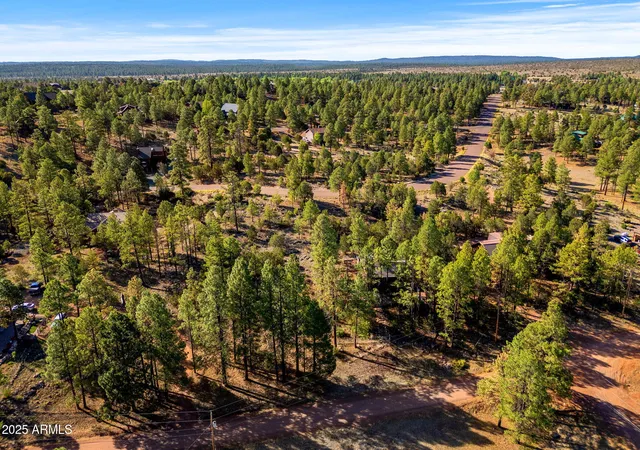 Homes for sale in Overgaard, AZ | 2794 Skyhawk Dr #140, Overgaard, AZ 85933 | MLS# 7047384