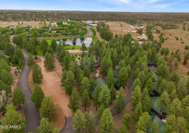 Photo 3 of Single family home for sale at 2722 High Pine Loop, Overgaard, AZ 85933 | MLS# 7047268 | Listing updated on 2026-09-18
