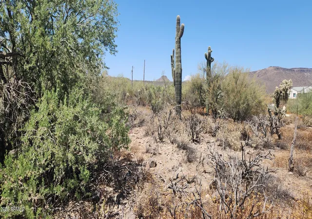 Homes for sale in New River, AZ | 42Xxx N 7Th Ave #0, New River, AZ 85087 | MLS# 7045726