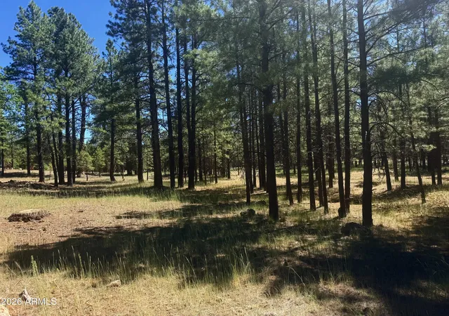 Photo 1 of Land for sale at 2124 Antelope Way #484, Happy Jack, AZ 86024 | MLS# 7045288 | Listing updated on 2026-06-23