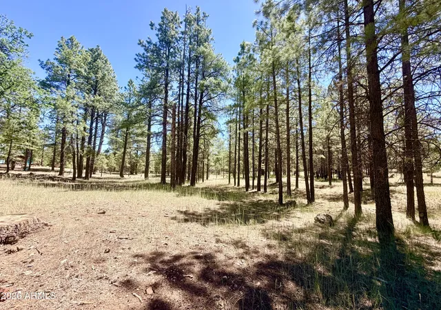Photo 2 of Land for sale at 2124 Antelope Way #484, Happy Jack, AZ 86024 | MLS# 7045288 | Listing updated on 2026-06-23