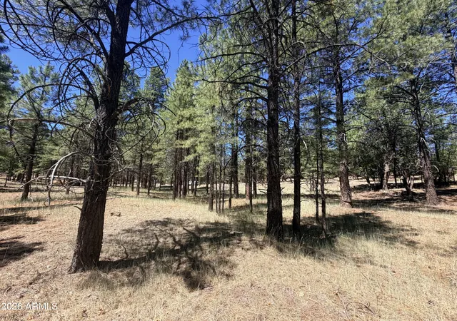 Photo 3 of Land for sale at 2124 Antelope Way #484, Happy Jack, AZ 86024 | MLS# 7045288 | Listing updated on 2026-06-23