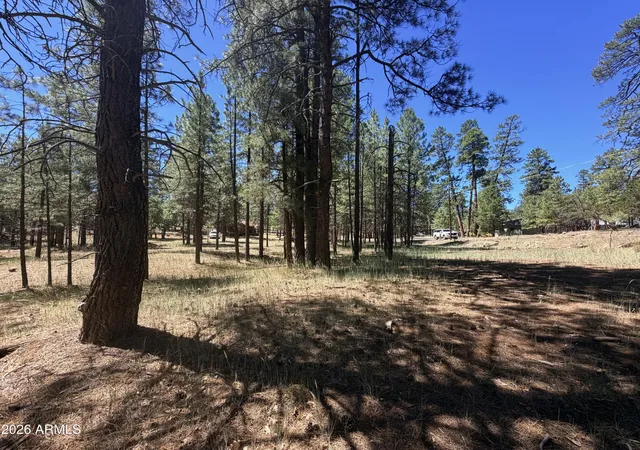 Photo 3 of Land for sale at 2124 Antelope Way #484, Happy Jack, AZ 86024 | MLS# 7045288 | Listing updated on 2026-06-23