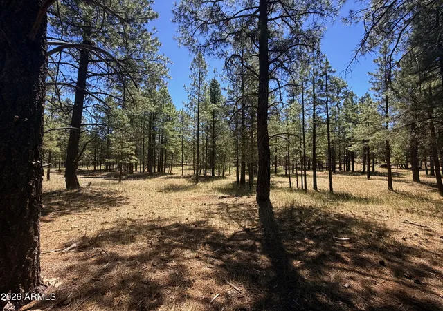 Photo 4 of Land for sale at 2124 Antelope Way #484, Happy Jack, AZ 86024 | MLS# 7045288 | Listing updated on 2026-06-23