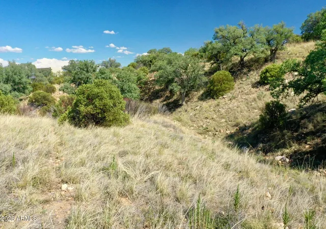 Homes for sale in Hereford, AZ | 1 S Andalusian Wy #1, Hereford, AZ 85615 | MLS# 7045324