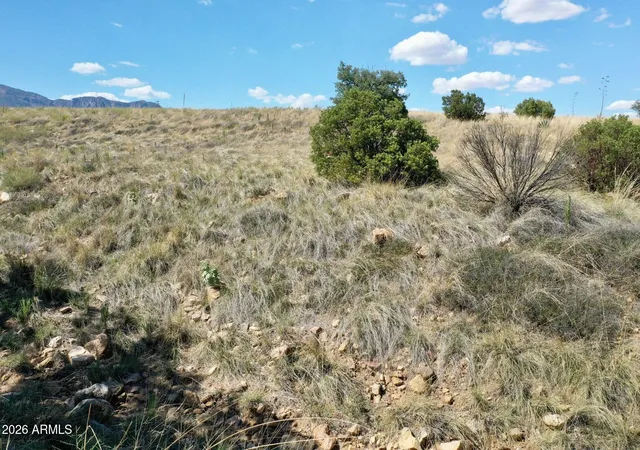 Homes for sale in Hereford, AZ | 1 S Andalusian Wy #1, Hereford, AZ 85615 | MLS# 7045324