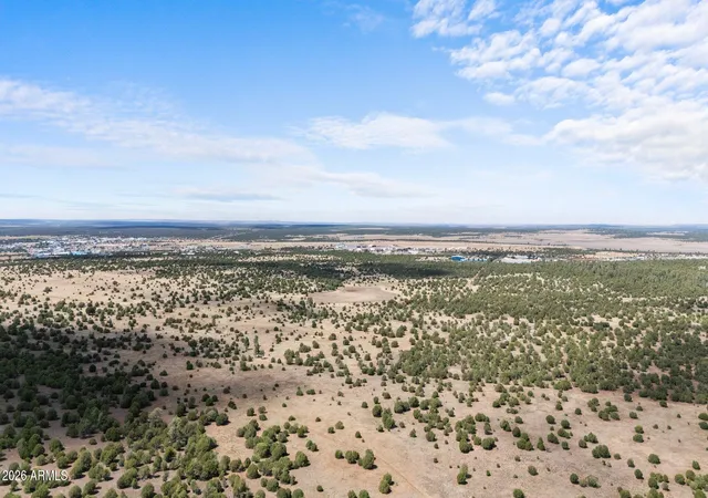 Photo 3 of Land for sale at Tbd N 40th Street, Show Low, AZ 85901 | MLS# 7045639 | Listing updated on 2026-06-23