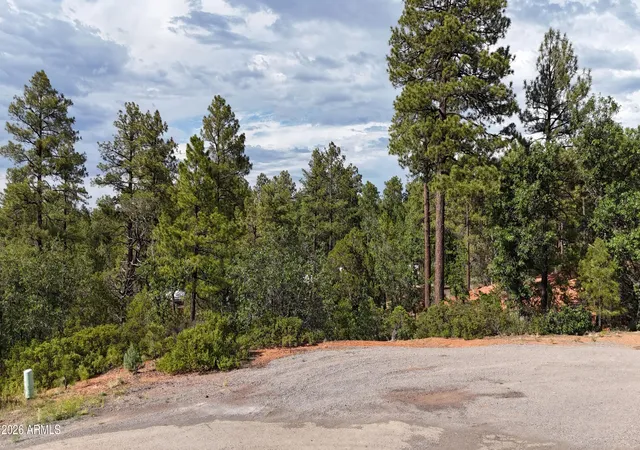 Homes for sale in Lakeside, AZ | 7026 Leo Ln #25, Lakeside, AZ 85929 | MLS# 7047541