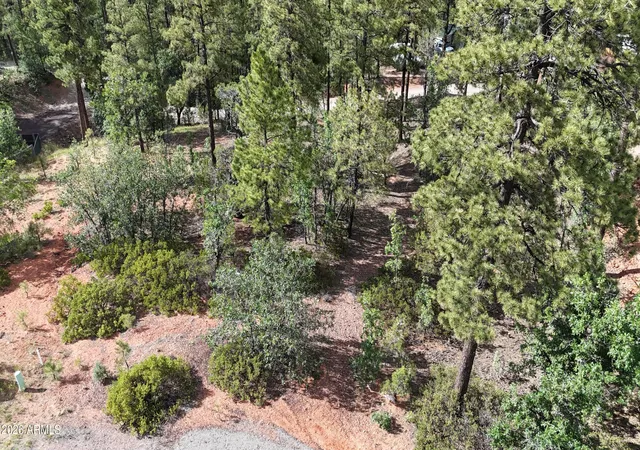 Photo 3 of Land for sale at 7026 Leo Ln #25, Lakeside, AZ 85929 | MLS# 7047541 | Listing updated on 2026-09-21