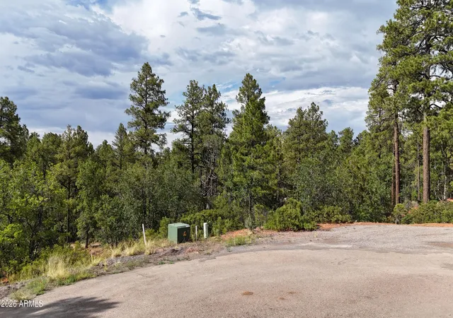 Photo 4 of Land for sale at 7026 Leo Ln #25, Lakeside, AZ 85929 | MLS# 7047541 | Listing updated on 2026-09-21