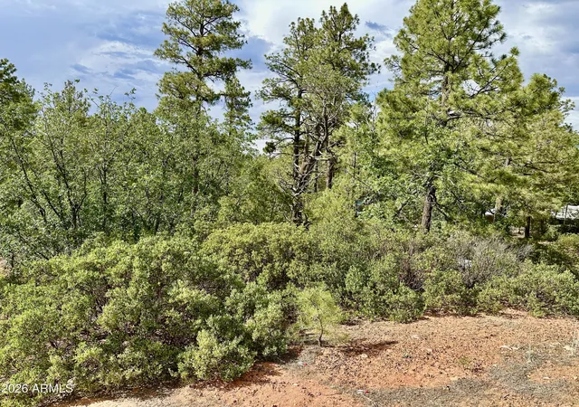 Homes for sale in Lakeside, AZ | 7026 Leo Ln #25, Lakeside, AZ 85929 | MLS# 7047541