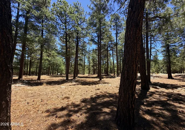 Homes for sale in Happy Jack, AZ | 4215 Apache Dr #428, Happy Jack, AZ 86024 | MLS# 7045754