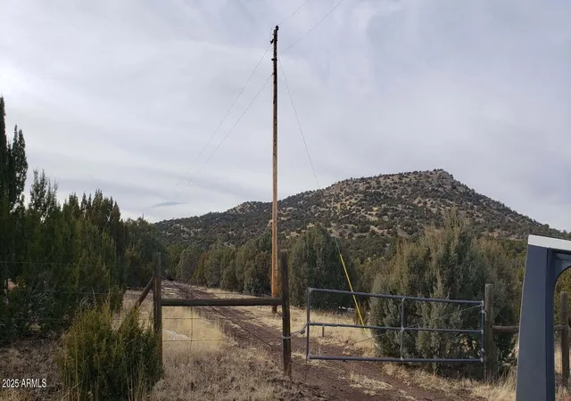 Homes for sale in Concho, AZ | 10755029d N 0 #29, Concho, AZ 85924 | MLS# 7045888
