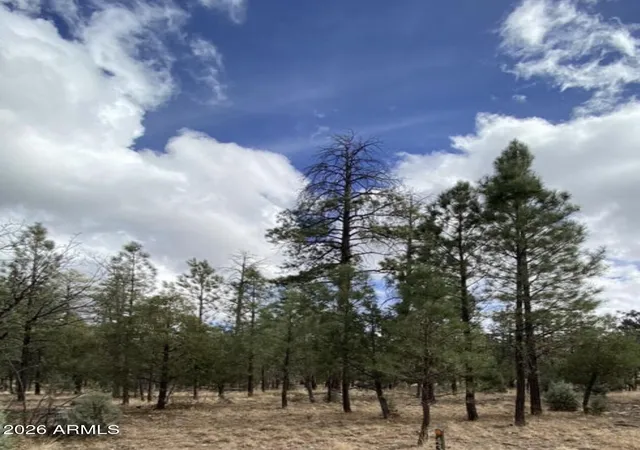 Homes for sale in Happy Jack, AZ | 4395 Jack Pine Pl #146, Happy Jack, AZ 86024 | MLS# 7046859