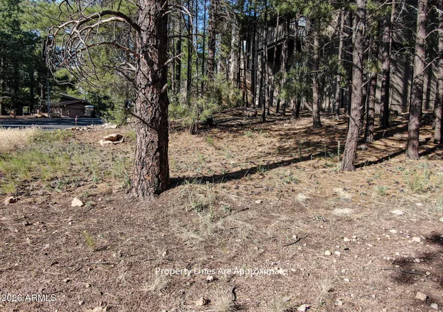 Homes for sale in Flagstaff, AZ | 4405 E Dreamy Ln #42, Flagstaff, AZ 86004 | MLS# 7047076