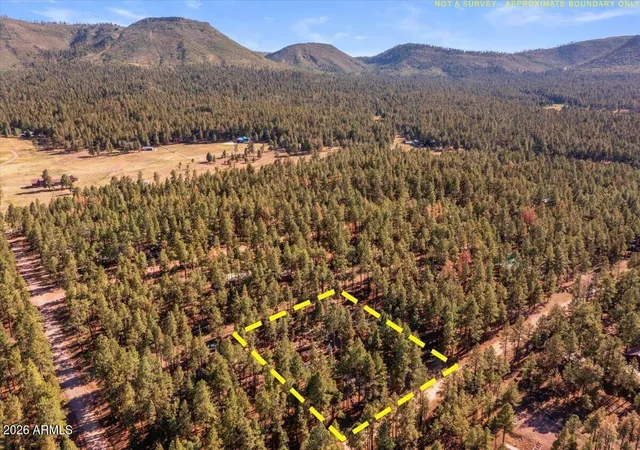 56th image of 24 County Rd 2267, Alpine, AZ 85920 | MLS# 7047364