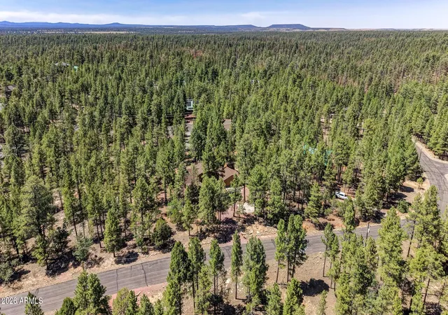Homes for sale in Happy Jack, AZ | 4170 Apache Dr, Happy Jack, AZ 86024 | MLS# 7047567