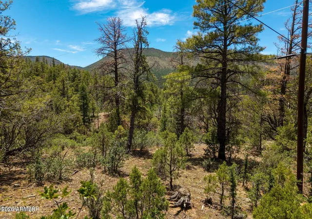 1st image of 34 County Road 2279 #34, Nutrioso, AZ 85932 | MLS# 7047465