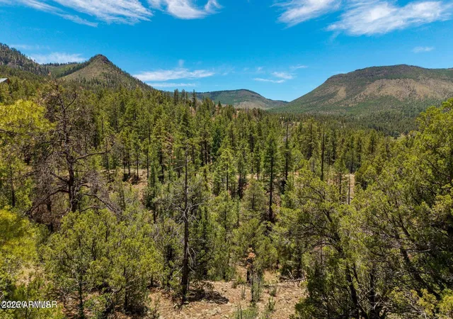 2nd image of 34 County Road 2279 #34, Nutrioso, AZ 85932 | MLS# 7047465