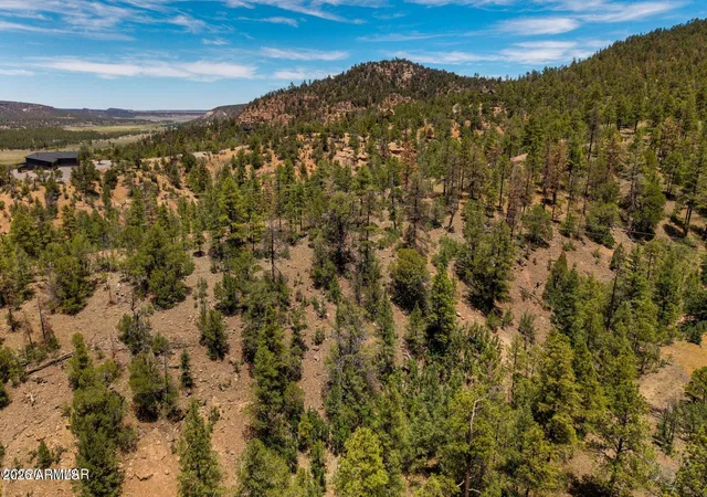 Photo 3 of Land for sale at 34 County Rd 2279 #34, Nutrioso, AZ 85932 | MLS# 7047465 | Listing updated on 2026-09-02