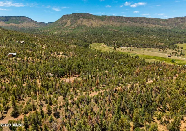 Photo 4 of Land for sale at 34 County Rd 2279 #34, Nutrioso, AZ 85932 | MLS# 7047465 | Listing updated on 2026-09-02