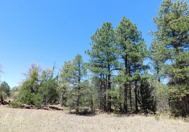 Homes for sale in Overgaard, AZ | 3100 Pinewood Dr #083B, Overgaard, AZ 85933 | MLS# 7048081