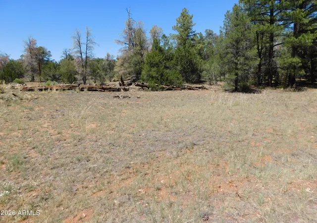 Homes for sale in Overgaard, AZ | 3100 Pinewood Dr #083B, Overgaard, AZ 85933 | MLS# 7048081