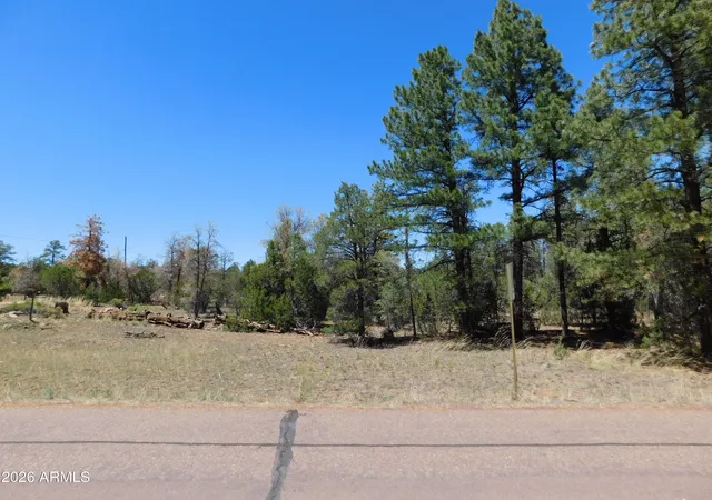 Homes for sale in Overgaard, AZ | 3100 Pinewood Dr #083B, Overgaard, AZ 85933 | MLS# 7048081