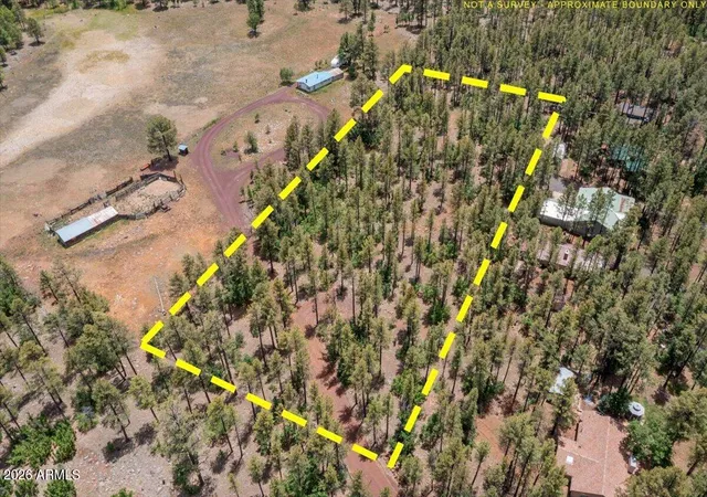 Homes for sale in Pinetop, AZ | 1431 S Hill Dr, Pinetop, AZ 85935 | MLS# 7047770