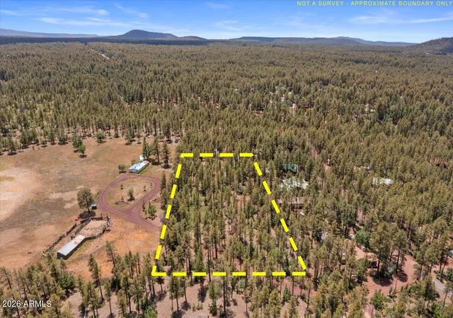 Homes for sale in Pinetop, AZ | 1431 S Hill Dr, Pinetop, AZ 85935 | MLS# 7047770