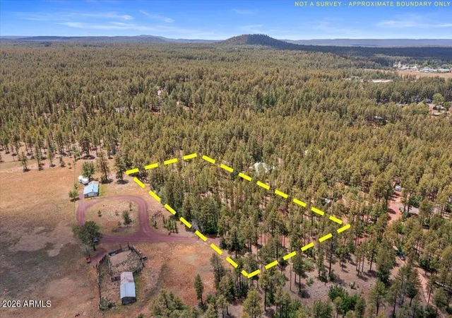 Homes for sale in Pinetop, AZ | 1431 S Hill Dr, Pinetop, AZ 85935 | MLS# 7047770