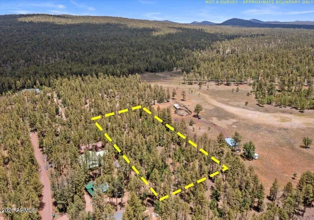 Homes for sale in Pinetop, AZ | 1431 S Hill Dr, Pinetop, AZ 85935 | MLS# 7047770