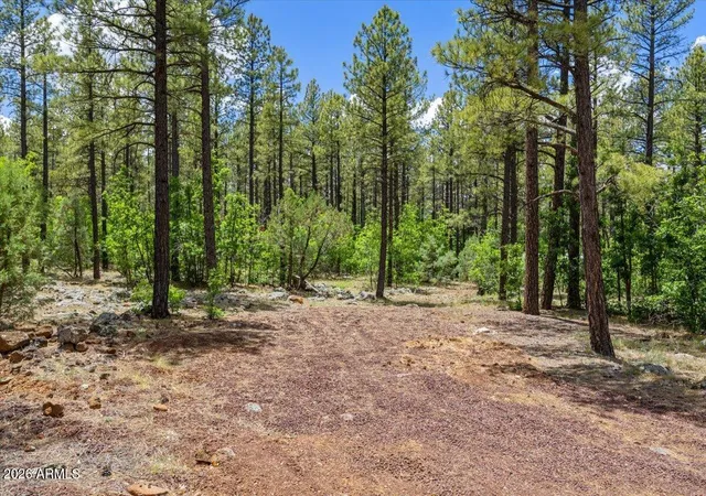 Photo 2 of Land for sale at Tbd E Sawmill Dr, Pinetop, AZ 85935 | MLS# 7047781 | Listing updated on 2026-06-29