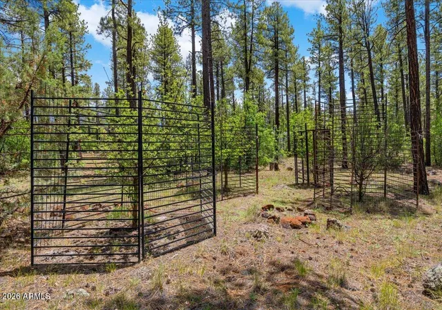 Photo 3 of Land for sale at Tbd E Sawmill Dr, Pinetop, AZ 85935 | MLS# 7047781 | Listing updated on 2026-06-29