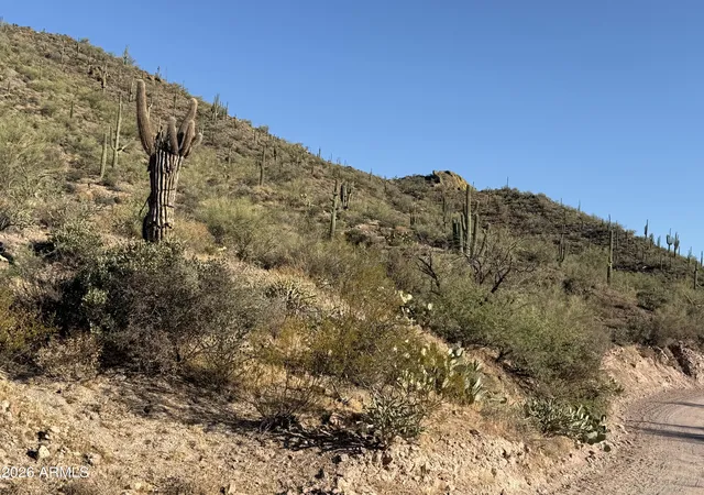 Homes for sale in Morristown, AZ | 00xxx W Lake Pleasant / Lake View Dr, Morristown, AZ 85342 | MLS# 7051120