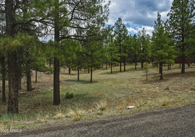Homes for sale in Happy Jack, AZ | 2799 Cherokee Wy #381, Happy Jack, AZ 86024 | MLS# 7047808