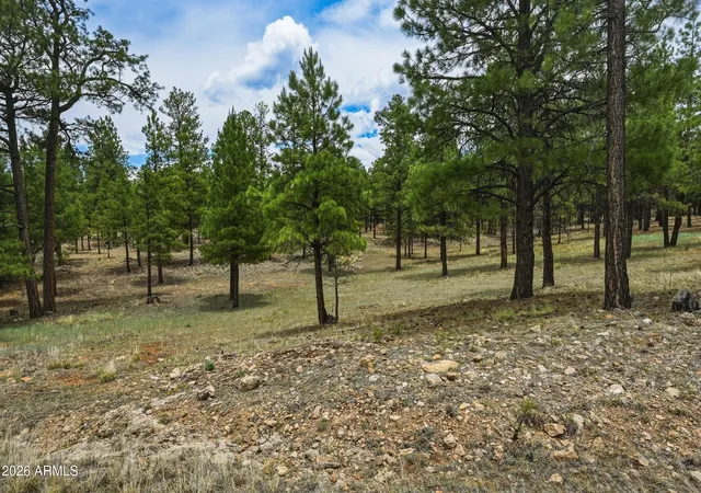Homes for sale in Happy Jack, AZ | 2799 Cherokee Wy #381, Happy Jack, AZ 86024 | MLS# 7047808