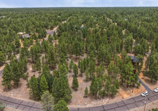 Homes for sale in Happy Jack, AZ | 2799 Cherokee Wy #381, Happy Jack, AZ 86024 | MLS# 7047808