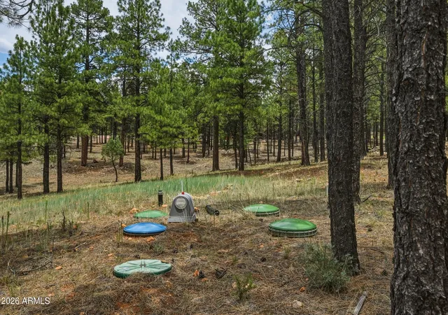 Homes for sale in Happy Jack, AZ | 2799 Cherokee Wy #381, Happy Jack, AZ 86024 | MLS# 7047808