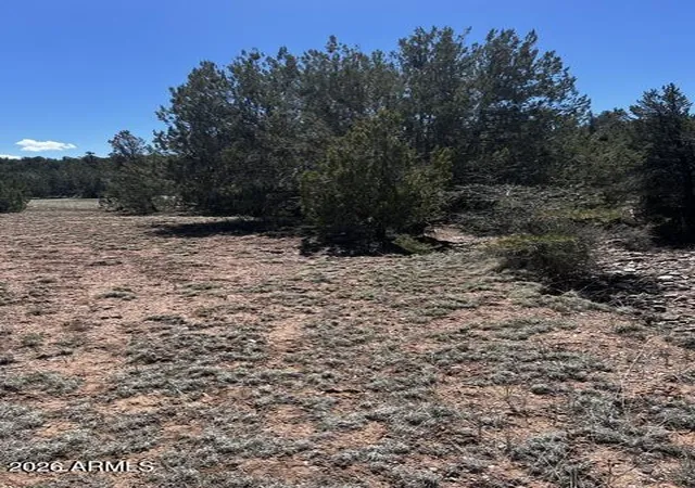 13th image of Lot 15 Juniper Mtn Ranches Unit 1 #15, Sedona, AZ 86336 | MLS# 7047817