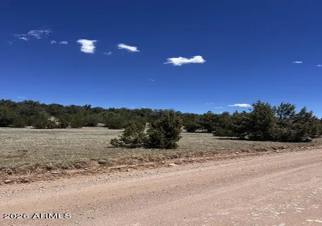 Homes for sale in Seligman, AZ | Lot 15 Juniper Mtn Ranches Unit 1 #15, Seligman, AZ 86337 | MLS# 7047817