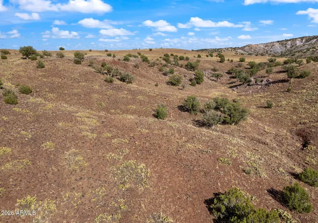 Homes for sale in Concho, AZ | Tbd N8491, Concho, AZ 85924 | MLS# 7047823