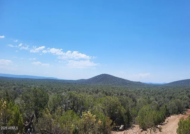 33rd image of 161 Cattle Dr #161, Williams, AZ 86046 | MLS# 7047868