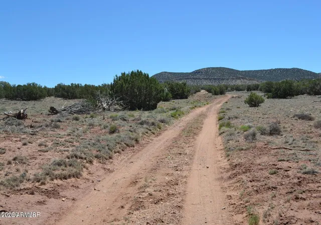 Homes for sale in Concho, AZ | Tbd N8604 #1, Concho, AZ 85924 | MLS# 7050832