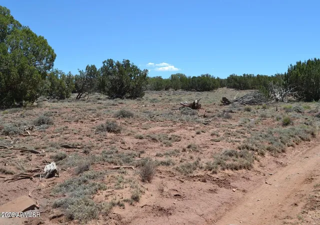 Homes for sale in Concho, AZ | Tbd N8604 #1, Concho, AZ 85924 | MLS# 7050832