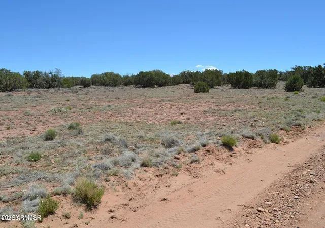 Homes for sale in Concho, AZ | Tbd N8604 -- #1, Concho, AZ 85924 | MLS# 7050832