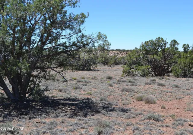 Homes for sale in Concho, AZ | Tbd N8604 #1, Concho, AZ 85924 | MLS# 7050832