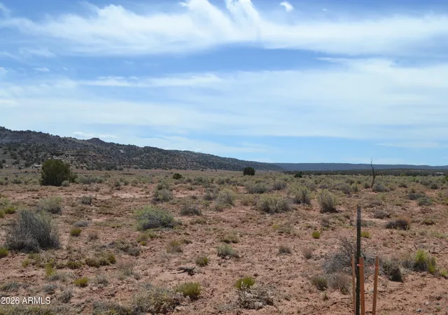 Homes for sale in Concho, AZ | Lots 18,19 N8577 #18, Concho, AZ 85924 | MLS# 7050827
